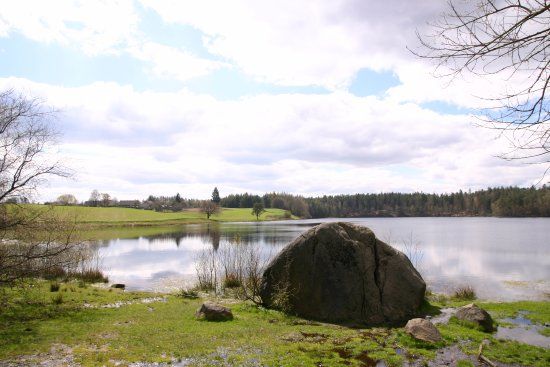 Diabelski Kamień w rezerwacie Żurawie Błota